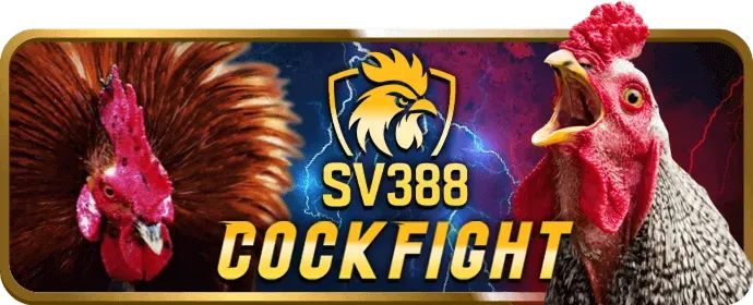 Hiểu rõ RTP trong Slot Game